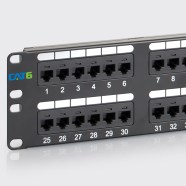 CAT6 Patch Panel With 48 Ports And 2 RMS ICC